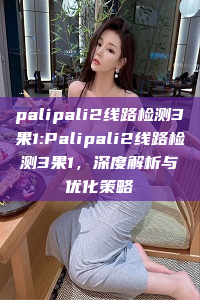 palipali2线路检测3果1:Palipali2线路检测3果1，深度解析与优化策略