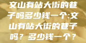 文山有站大街的巷子吗多少钱一个:文山有站大街的巷子吗？多少钱一个？