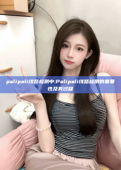 palipali线路检测中:Palipali线路检测的重要性及其过程