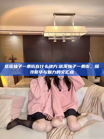 慈溪妹子一条街在什么地方:慈溪妹子一条街，探寻繁华与魅力的交汇点