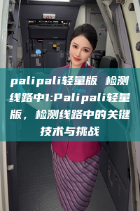 palipali轻量版 检测线路中1:Palipali轻量版，检测线路中的关键技术与挑战