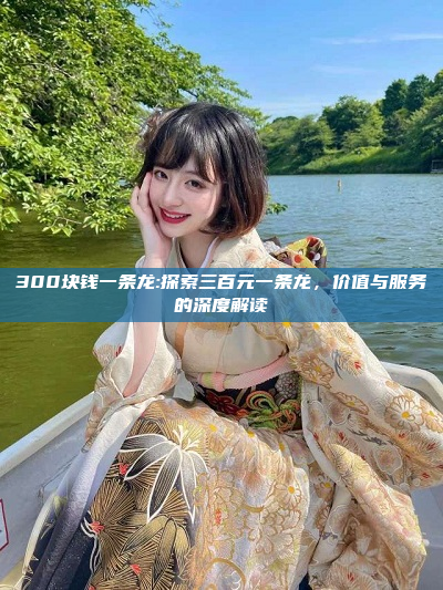 300块钱一条龙:探索三百元一条龙，价值与服务的深度解读