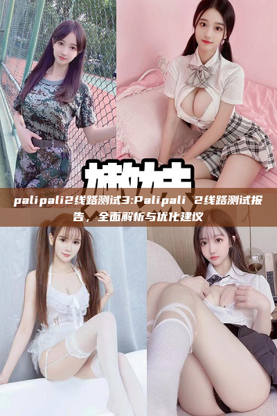 palipali2线路测试3:Palipali 2线路测试报告，全面解析与优化建议