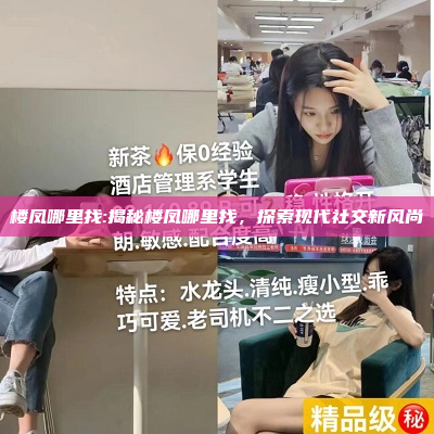 楼凤哪里找:揭秘楼凤哪里找，探索现代社交新风尚